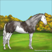 Horse Color:Liver Chestnut Mushroom Splash Snowflake Varnish 