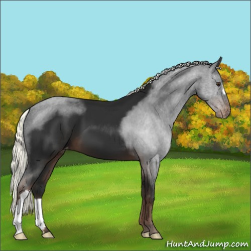 Horse Color:Liver Chestnut Mushroom Varnish