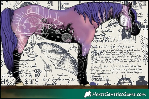 Horse Color:Void Watercolor White Spotted Grullo Splash 