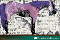 Horse Color:Void Watercolor White Spotted Grullo Splash 