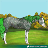 Horse Color:Watercolor Midnight Smoky Black Ice Splash
