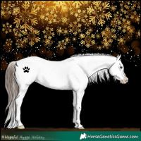 Horse Color:White Spotted Brown Frame Appaloosa 