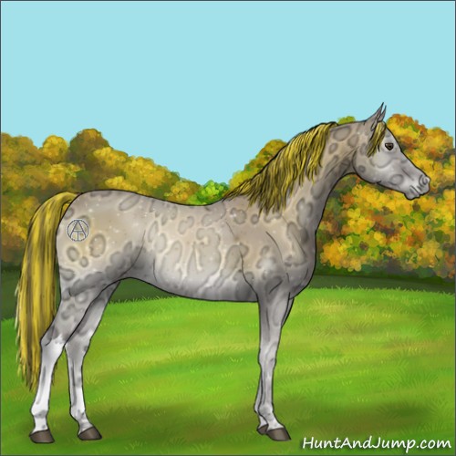 Horse Color:Painted Buckskin Ice Onyx 