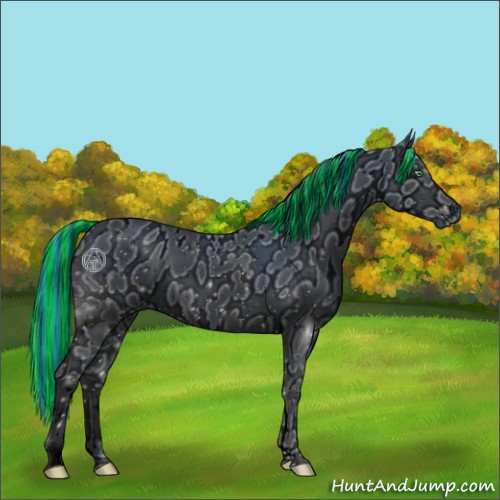 Horse Color:ERROR: UNKNOWN ANOMALY