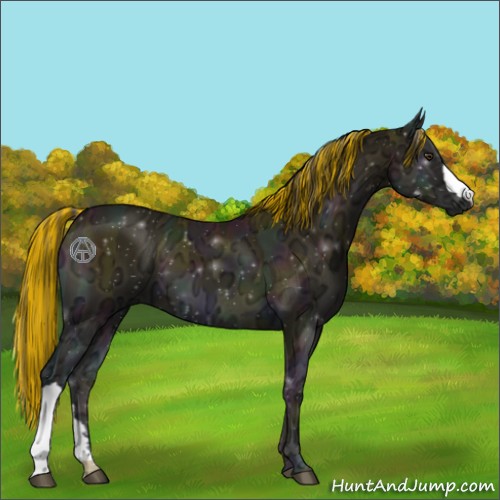 Horse Color:Painted Midnight Buckskin Ice Onyx