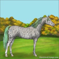 Horse Color:Painted Perlino Ice Onyx 