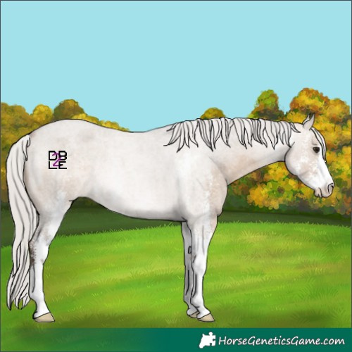 Horse Color:Silver Brown Roan Dun Sabino