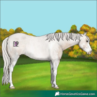 Horse Color:Silver Brown Roan Dun Sabino 