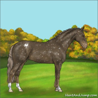 Horse Color:Chocolate Palomino Mushroom Snowflake Varnish 
