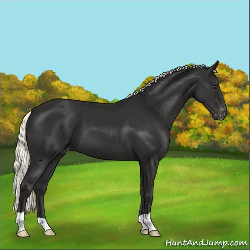 Horse Color:Liver Chestnut Mushroom Varnish