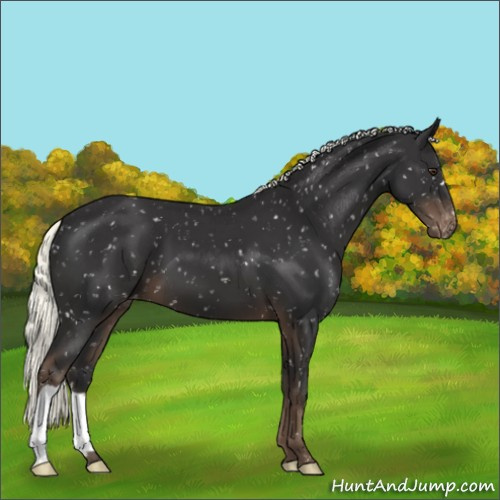 Horse Color:Liver Chestnut Mushroom Snowflake Varnish 