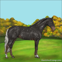 Horse Color:Liver Chestnut Mushroom Snowflake Varnish 