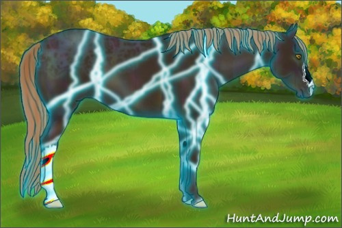 Horse Color:Thunderstruck Midnight Gold Champagne Ice