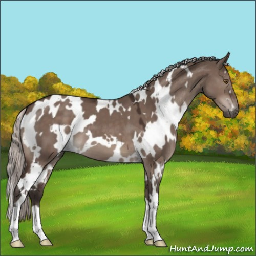 Horse Color:White Spotted Silver Brown Dun Mushroom