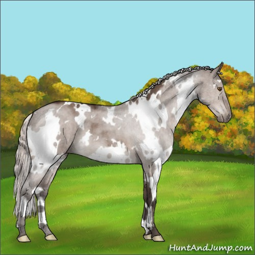 Horse Color:White Spotted Silver Brown Dun Mushroom