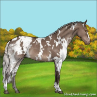 Horse Color:White Spotted Silver Brown Dun Mushroom Varnish 