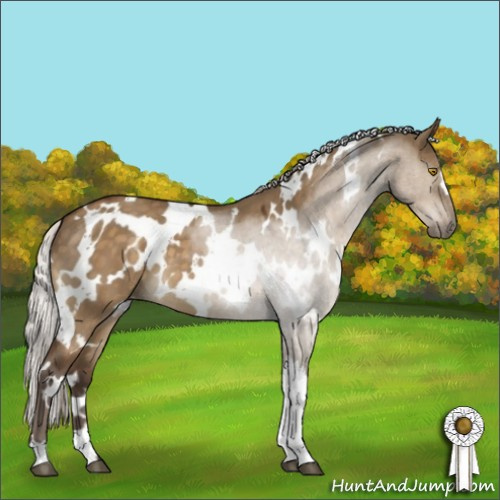 Horse Color:White Spotted Silver Buckskin Dun Mushroom 