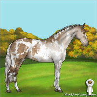 Horse Color:White Spotted Silver Buckskin Dun Mushroom 