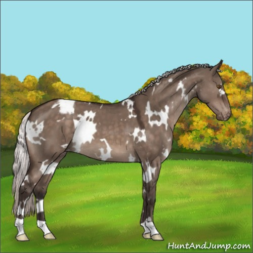 Horse Color:White Spotted Silver Brown Dun Mushroom Varnish 