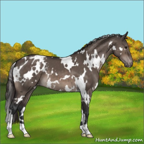 Horse Color:White Spotted Brown Dun Mushroom Varnish