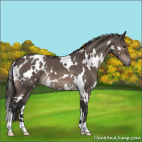 Horse Color:White Spotted Brown Dun Mushroom Varnish 