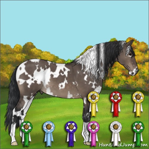 Horse Color:White Spotted Brown Dun Mushroom