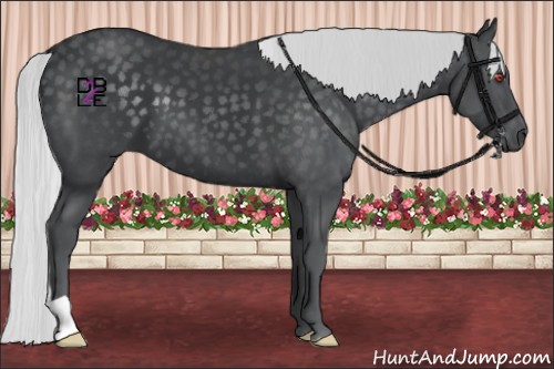 Horse Color:Silver Black Chinchilla