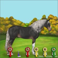 Horse Color:Liver Chestnut Mushroom 