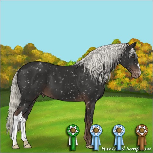 Horse Color:Liver Chestnut Mushroom Snowflake Varnish