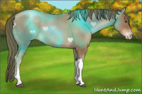 Horse Color:Liver Chestnut Pearl 