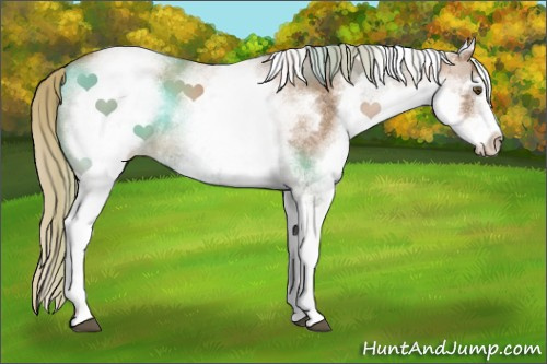 Horse Color:White Spotted Liver Chestnut Pearl