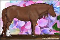 Horse Color:Chestnut Tobiano