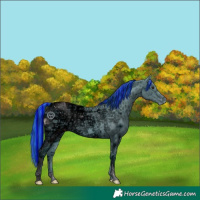Horse Color:ERROR: UNKNOWN ANOMALY