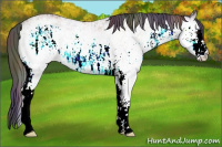 Horse Color:Nacre White Spotted Bay Ice 