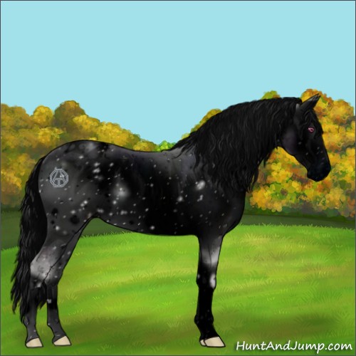 Horse Color:ERROR: UNKNOWN ANOMALY