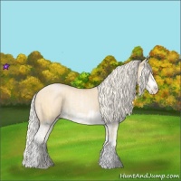 Horse Color:Palomino Roan Pearl  and Palomino Roan Pearl Splash 