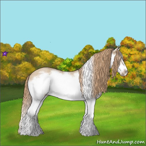 Horse Color:Red Dun Roan Splash Frame Rabicano 