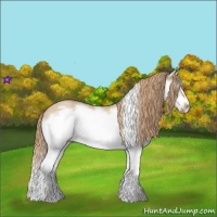 Horse Color:Red Dun Roan Splash Frame Rabicano 