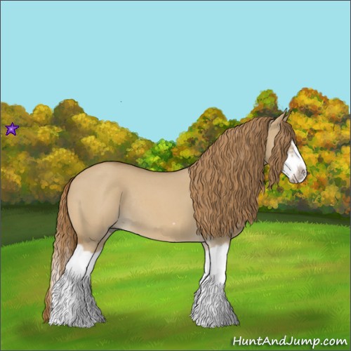 Horse Color:Red Dun Roan Splash Frame Rabicano