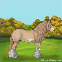 Horse Color:Red Dun Roan Splash Frame Rabicano