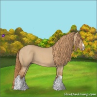 Horse Color:Red Dun Roan Splash Frame Rabicano 