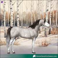 Horse Color:Liver Red Dun Roan Splash Frame Rabicano 