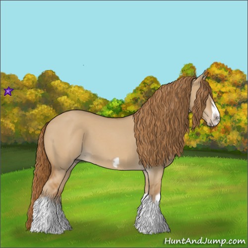 Horse Color:Red Dun Roan Splash Frame Rabicano 