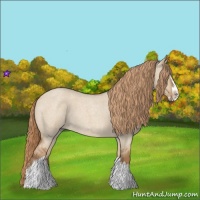 Horse Color:Red Dun Roan Splash Frame Rabicano 