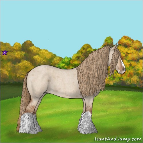 Horse Color:Red Dun Roan Splash Frame Rabicano 
