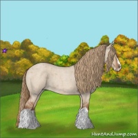 Horse Color:Red Dun Roan Splash Frame Rabicano 