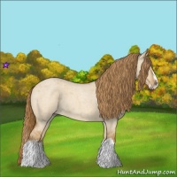 Horse Color:Red Dun Roan Splash Frame Rabicano 