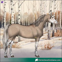 Horse Color:Liver Red Dun and Liver Red Dun Splash