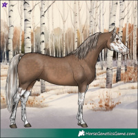 Horse Color:Liver Red Dun  and Liver Red Dun Splash 