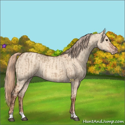 Horse Color:Liver Red Dun and Gold Champagne Dun